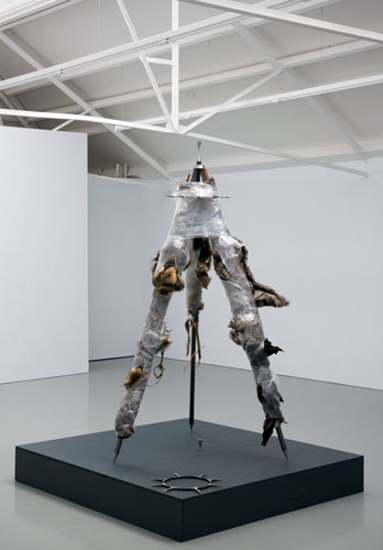 Davids Stimmen, Ruperts Worte • David's Voices, Ruppert's Words - Galerie Fons Welters, Amsterdam, 2011